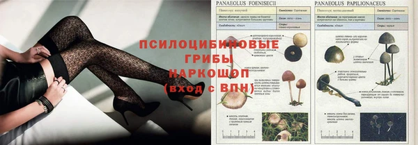 мескалин Белокуриха
